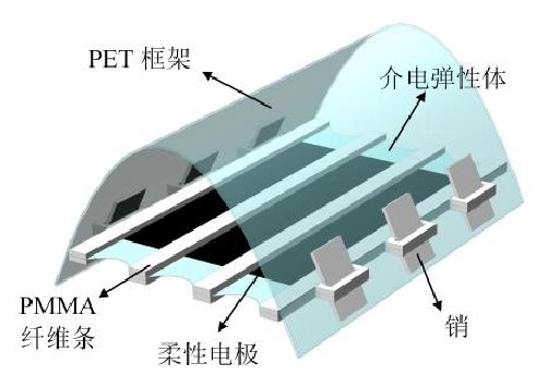 高壓放大器應(yīng)用介電彈性驅(qū)動(dòng)器模型.png
