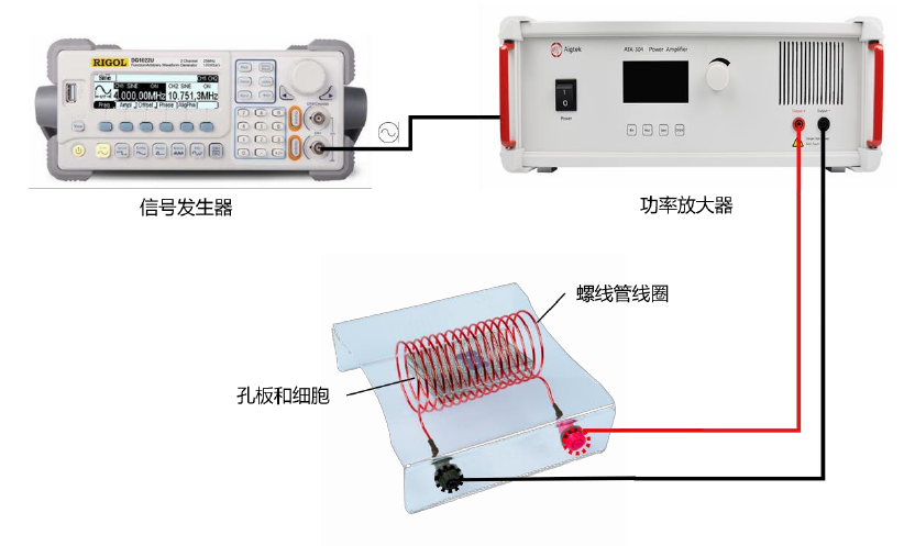 交變電場刺激系統(tǒng)示意圖.png