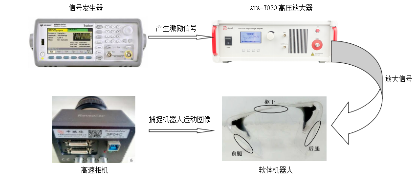 功率放大器在驅(qū)動(dòng)介電彈性體機(jī)器人的應(yīng)用