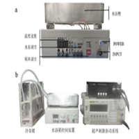 ATA-100系列功率放大器基于超聲技術(shù)的生物發(fā)育研究的應(yīng)用